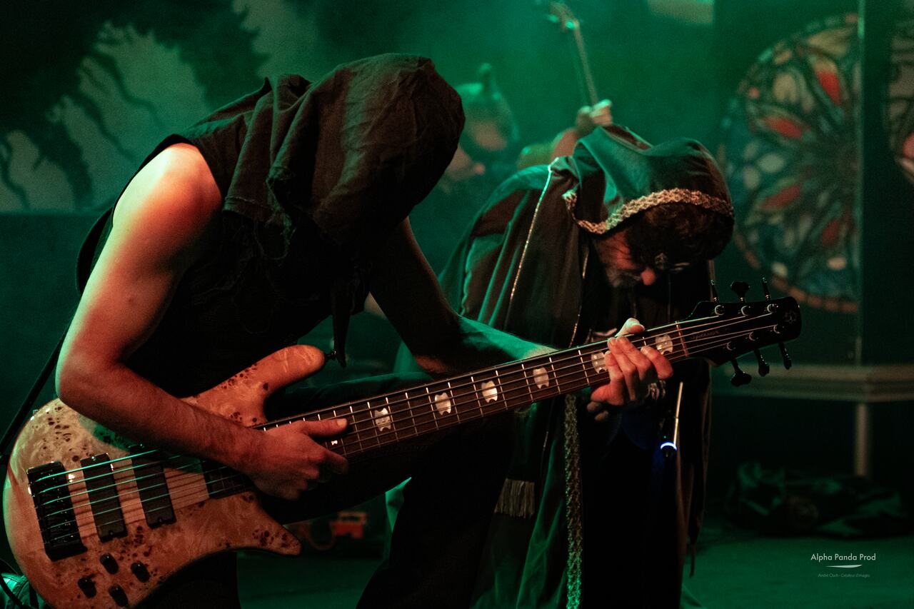 Two guitars